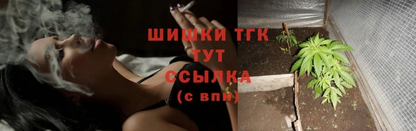 2c-b Новозыбков