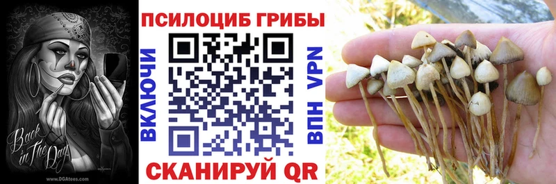 Галлюциногенные грибы мухоморы mega рабочий сайт Лакинск